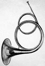 A natural horn